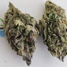 Green Phantom - A+ Topshelf