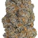 Biscotti (Designer