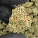 Peanut Butter Breath (Hybrid)
