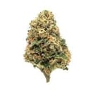 Super Lemon Haze