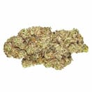 ORANGE DAIQUIRI - 5 GRAMS