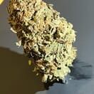BACIO GELATO