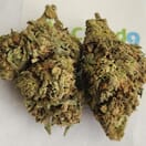 Garlic Storm - A+ Topshelf