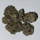 LEMON CHERRY GELATO