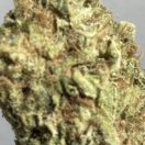 Sour Diesel