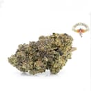 Durban Poison (AAA)