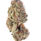 Tropicana Cookie