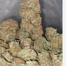 Bubba Kush (exotic)