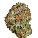Sour Sunset (PREMIUM)