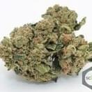 SHADDY APPLE (Top-Shelf)