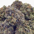 Granddaddy Purple (Exotic)