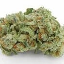 Jungle Cheese