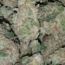 Northern Lights - High Valley Farms