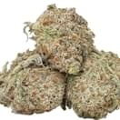 Hindu Kush (exotic)