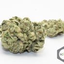 Gorilla Glue