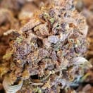 Purple Urkle