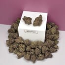 Grape Gasoline-Designer A+++