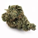 White Widow