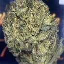 TOPSHELF- TRAP FUEL