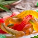 SOUR OCTOPUS 600 MG