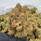 Silver Surfer (Hybrid)