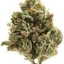 LA Confidential INDICA (EXOTIC)