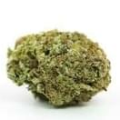 Granddaddy Purple (PREMIUM)