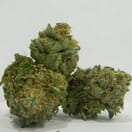 G13