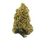 Lambs Breath