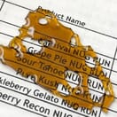 Newt Brothers Shatter - Glue #4
