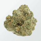 303 Kush #1