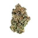 Sherbert AAA