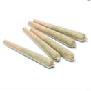 EXOTIC prerolls