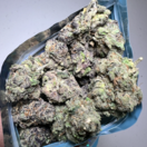 Blueberry Blast (Premium)