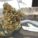Newt Brothers - Space Force OG