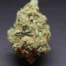 HOLY GRAIL - 5 GRAMS