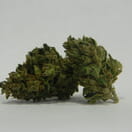 Tangerine Kush