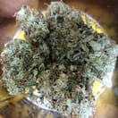 Green Crack