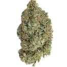Venom og