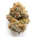 Pink Rozay (Top-Shelf)