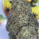EXOTIC- CAP JUNKY