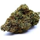 Alaska Thunder Fuck (AAA indoor)
