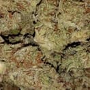 Grape Stomper CBD - Dutch Caliber