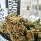 Good Medicine