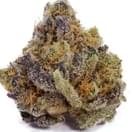 Pineapple Express (exotic)