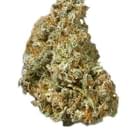 ​503 Wifi (TOP SHELF)