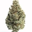 Hippie Crippler