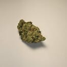 Sunset Sherbert (PREMIUM)