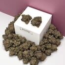Black Pearl-Premium