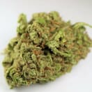 JUNGLE CAKE - 5 GRAMS